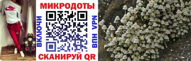OMG   купить закладку  Ступино  Галлюциногенные грибы мухоморы 
